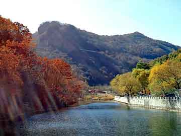 新澳门二四六天天开奖，火山石产地